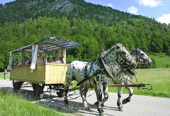 Kutsche bei der Abfahrt vor dem Haus